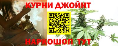 прущие грибы Ставрополь