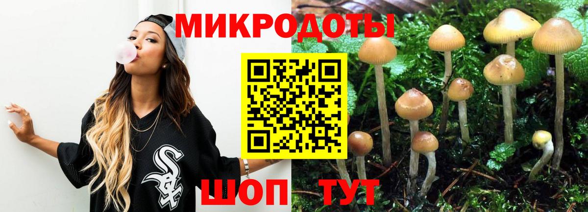 Галлюциногенные грибы прущие грибы  Вход с VPN  Бийск 